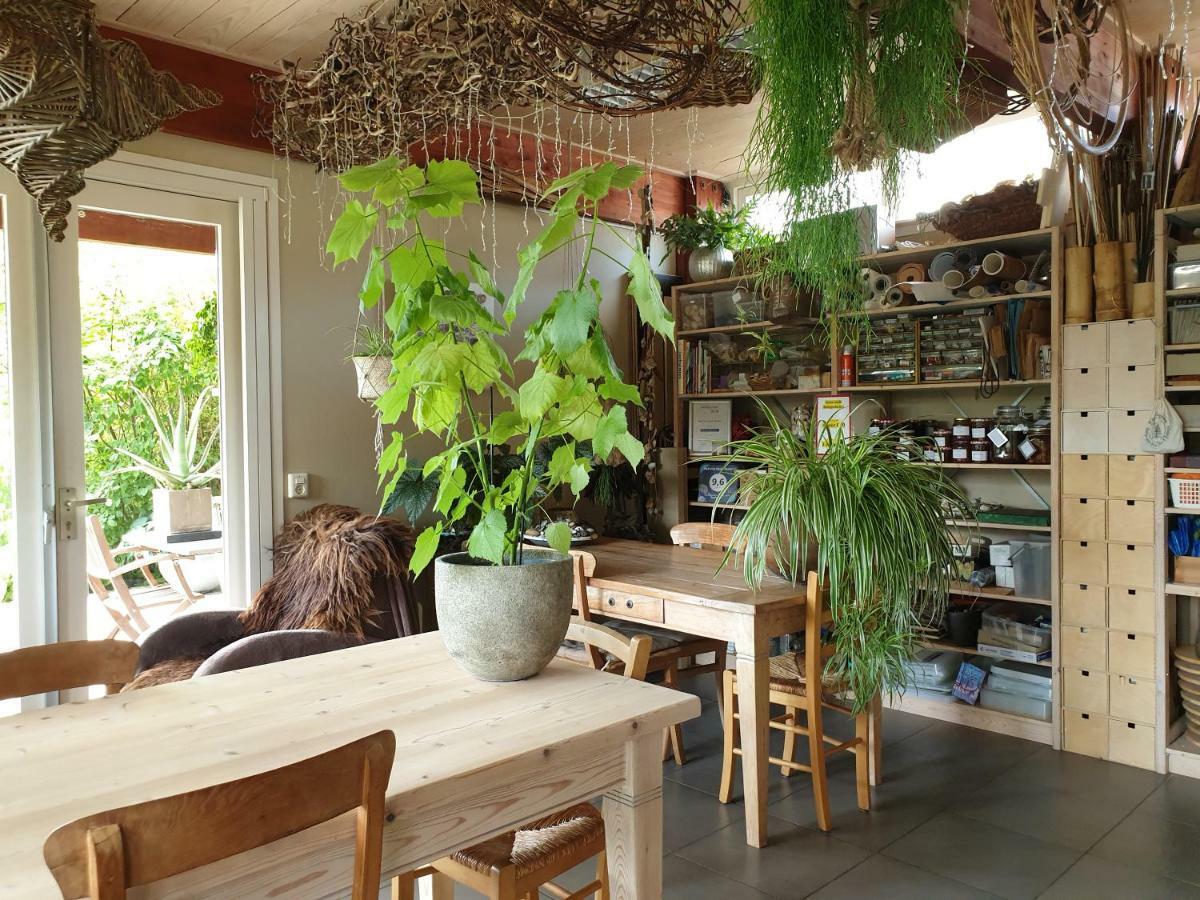 Appartementen Het Oude Atelier Schoorl Exteriör bild